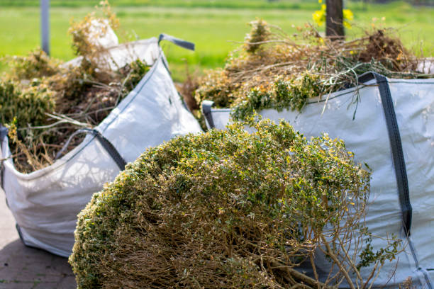 Best Local Junk Hauling  in Tower Lakes, IL